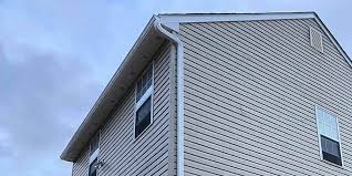 Best Historical Building Siding Restoration  in Murphy, NC